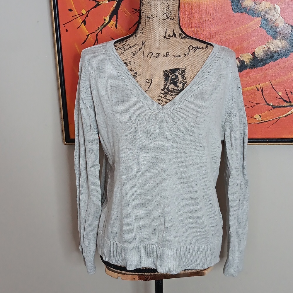 Everlane The Soft Cotton V Neck Knit Sweater Size Small